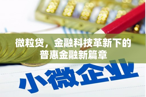 西丰微粒贷，金融科技革新下的普惠金融新篇章