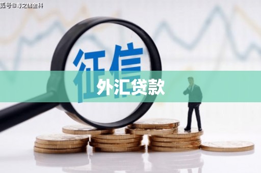 西丰外汇贷款