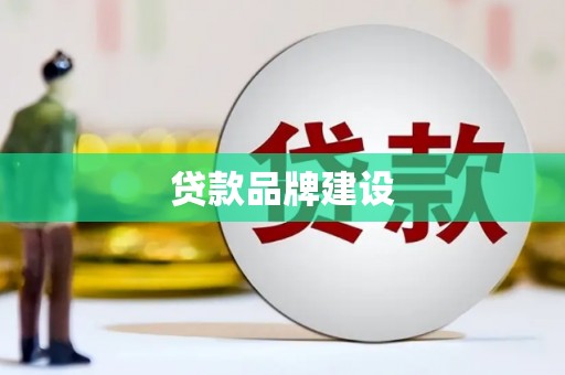西丰贷款品牌建设