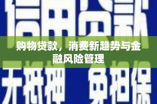 西丰购物贷款，消费新趋势与金融风险管理