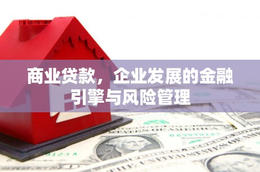 西丰商业贷款，企业发展的金融引擎与风险管理