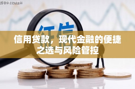 西丰信用贷款，现代金融的便捷之选与风险管控