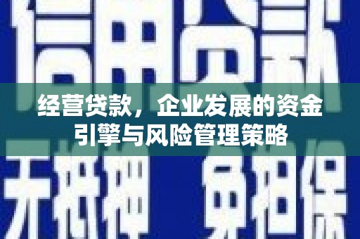 西丰经营贷款，企业发展的资金引擎与风险管理策略