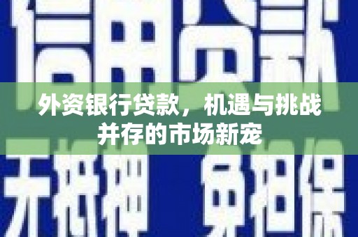 西丰外资银行贷款，机遇与挑战并存的市场新宠