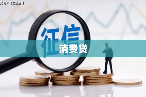 西丰消费贷