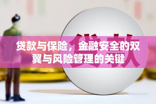 西丰贷款与保险，金融安全的双翼与风险管理的关键