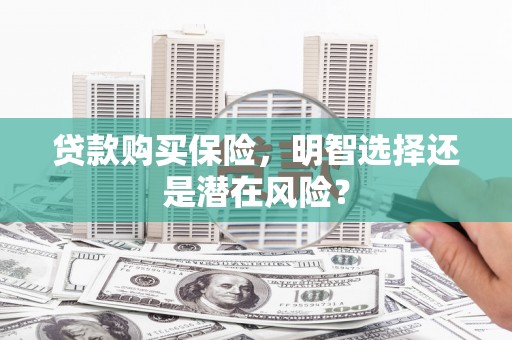 西丰贷款购买保险，明智选择还是潜在风险？
