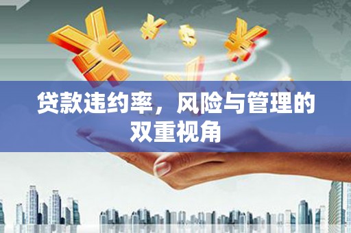 西丰贷款违约率，风险与管理的双重视角