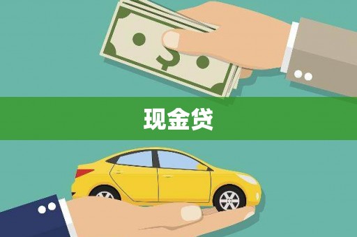 西丰现金贷