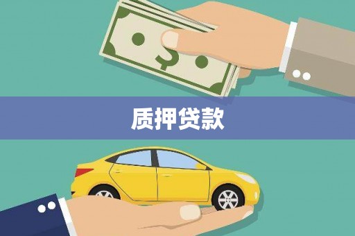 西丰质押贷款