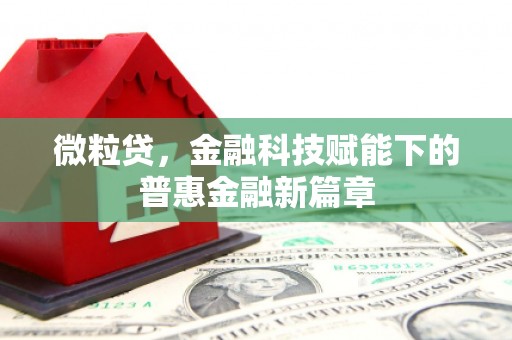 西丰微粒贷，金融科技赋能下的普惠金融新篇章