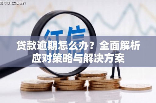 西丰贷款逾期怎么办？全面解析应对策略与解决方案