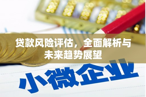 西丰贷款风险评估，全面解析与未来趋势展望