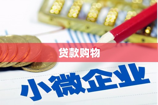 西丰贷款购物