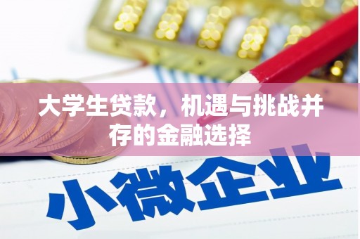 西丰大学生贷款，机遇与挑战并存的金融选择