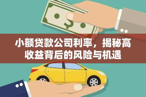西丰小额贷款公司利率，揭秘高收益背后的风险与机遇