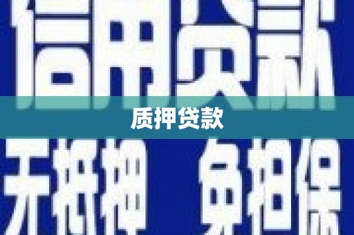 西丰质押贷款