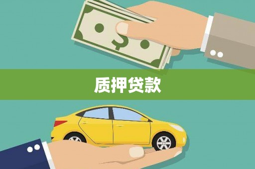 西丰质押贷款