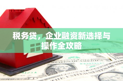 西丰税务贷，企业融资新选择与操作全攻略