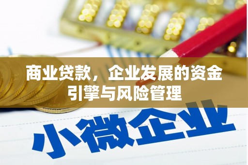 西丰商业贷款，企业发展的资金引擎与风险管理