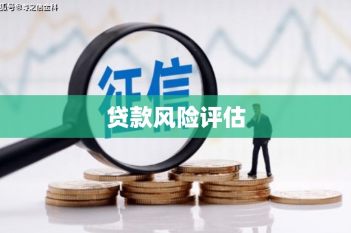 西丰贷款风险评估