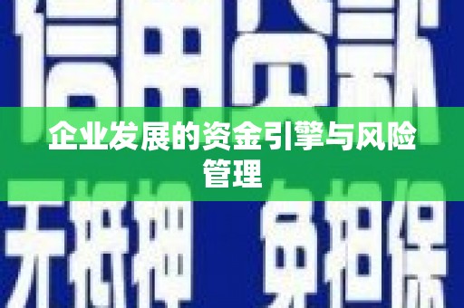 西丰企业发展的资金引擎与风险管理