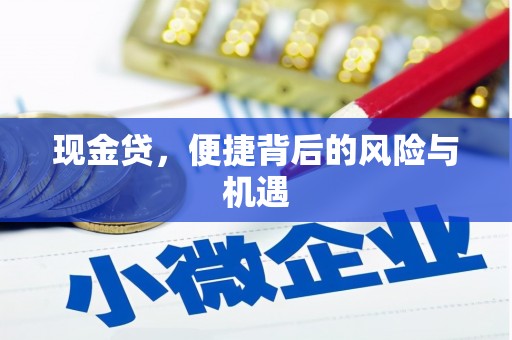 西丰现金贷，便捷背后的风险与机遇