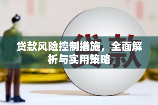 西丰贷款风险控制措施，全面解析与实用策略