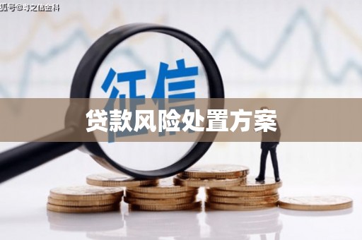西丰贷款风险处置方案