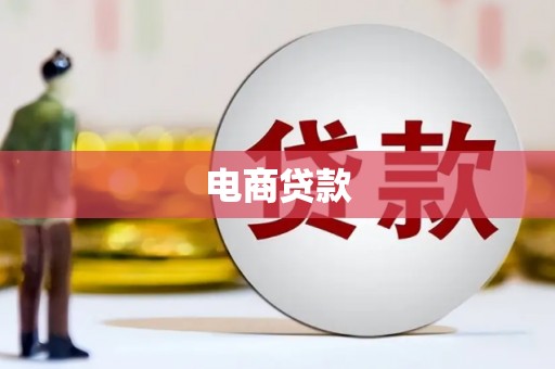 西丰电商贷款