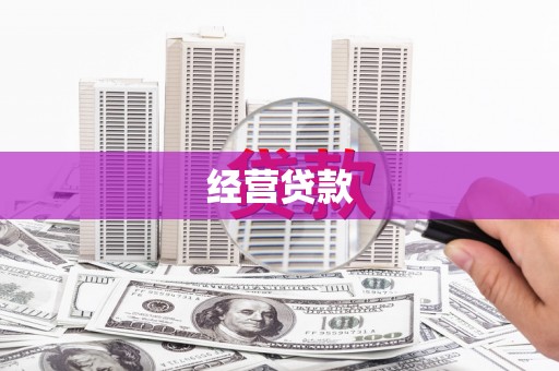西丰经营贷款