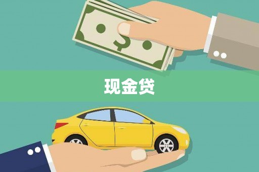 西丰现金贷