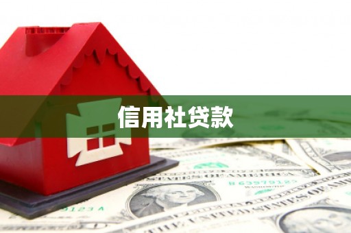西丰信用社贷款