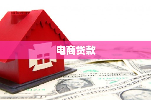 西丰电商贷款