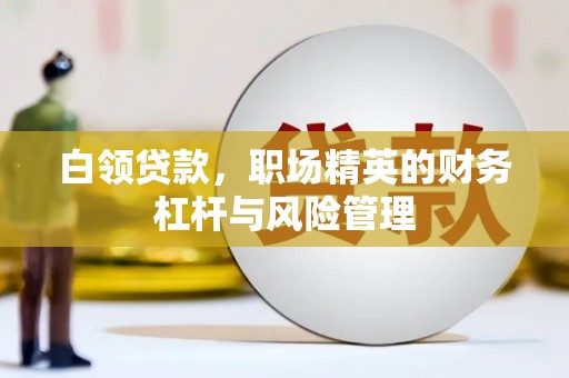 西丰白领贷款，职场精英的财务杠杆与风险管理