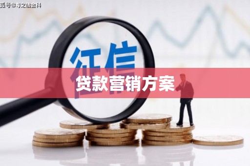 西丰贷款营销方案