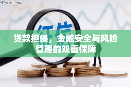 西丰贷款担保，金融安全与风险管理的双重保障