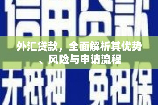 西丰外汇贷款，全面解析其优势、风险与申请流程
