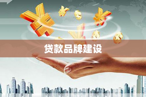 西丰贷款品牌建设