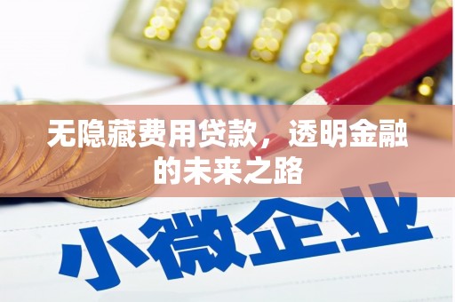 西丰无隐藏费用贷款，透明金融的未来之路
