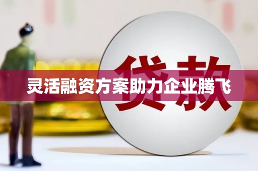 西丰灵活融资方案助力企业腾飞