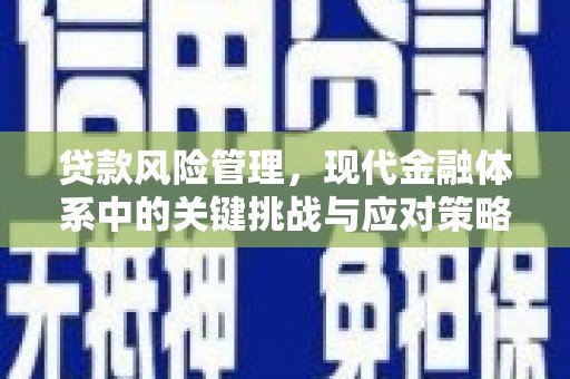 西丰贷款风险管理，现代金融体系中的关键挑战与应对策略