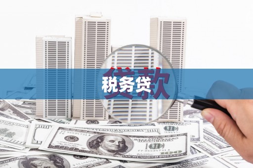西丰税务贷