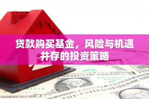 西丰贷款购买基金，风险与机遇并存的投资策略