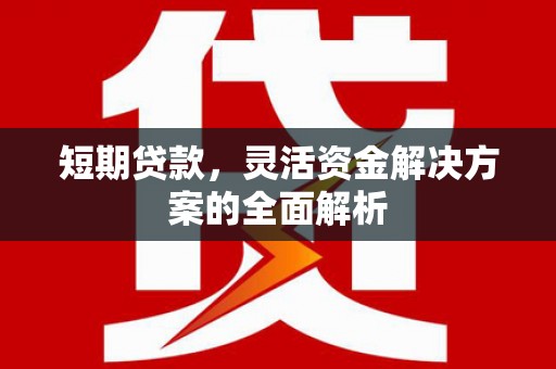 西丰短期贷款，灵活资金解决方案的全面解析