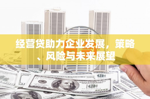 西丰经营贷助力企业发展，策略、风险与未来展望