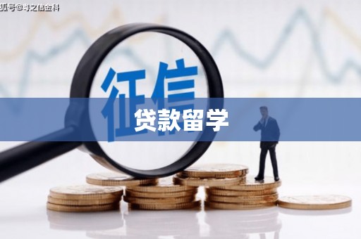 西丰贷款留学