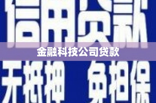 西丰金融科技公司贷款