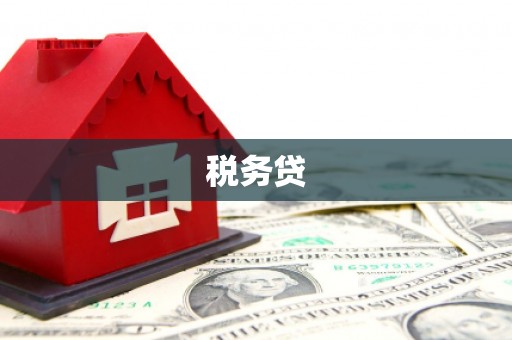 西丰税务贷