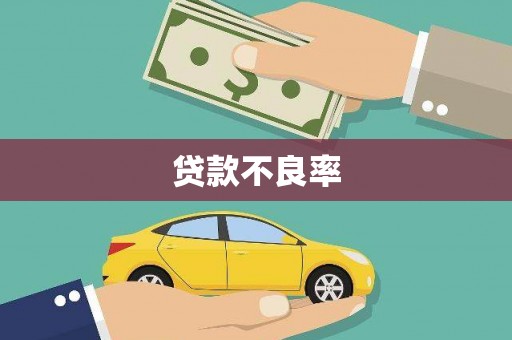 西丰贷款不良率